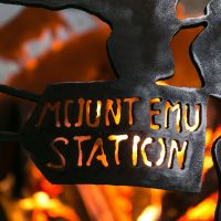 Fire Pit Spherical Sphere Firepit Australia Whipps Designs 023 173